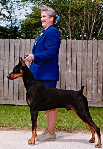 Amenra 14 months