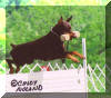 High Jump