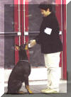 Retrieve