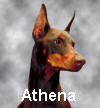 Athena