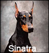 Sinatra