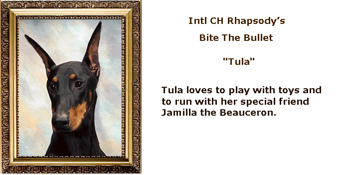 tula